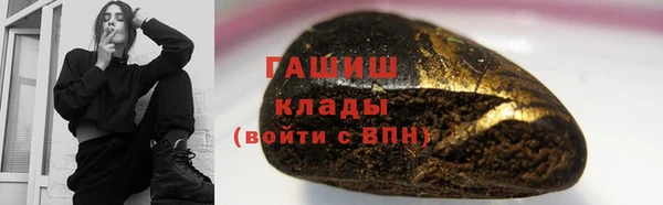 гидра Бородино