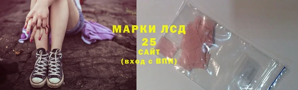 гидра Бородино