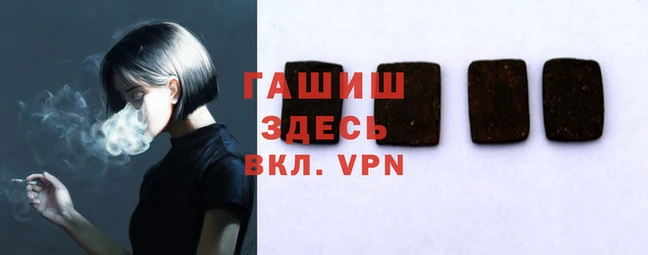 гидра Бородино