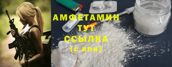 гидра Бородино