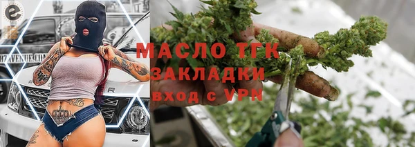 гидра Бородино