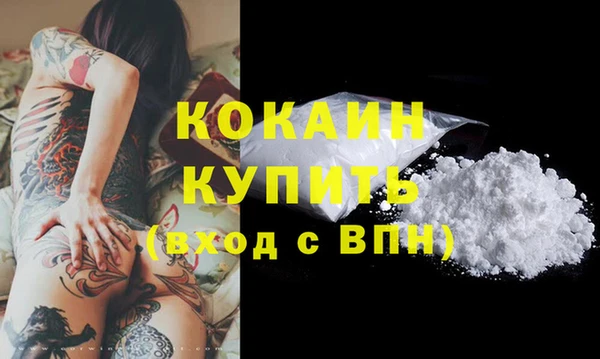 гидра Бородино