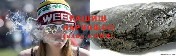 гидра Бородино