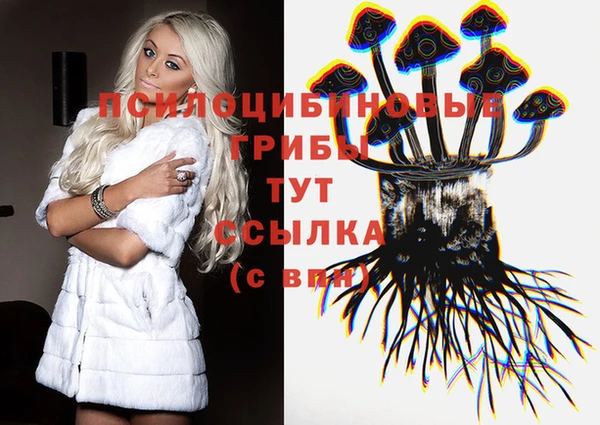 гидра Бородино